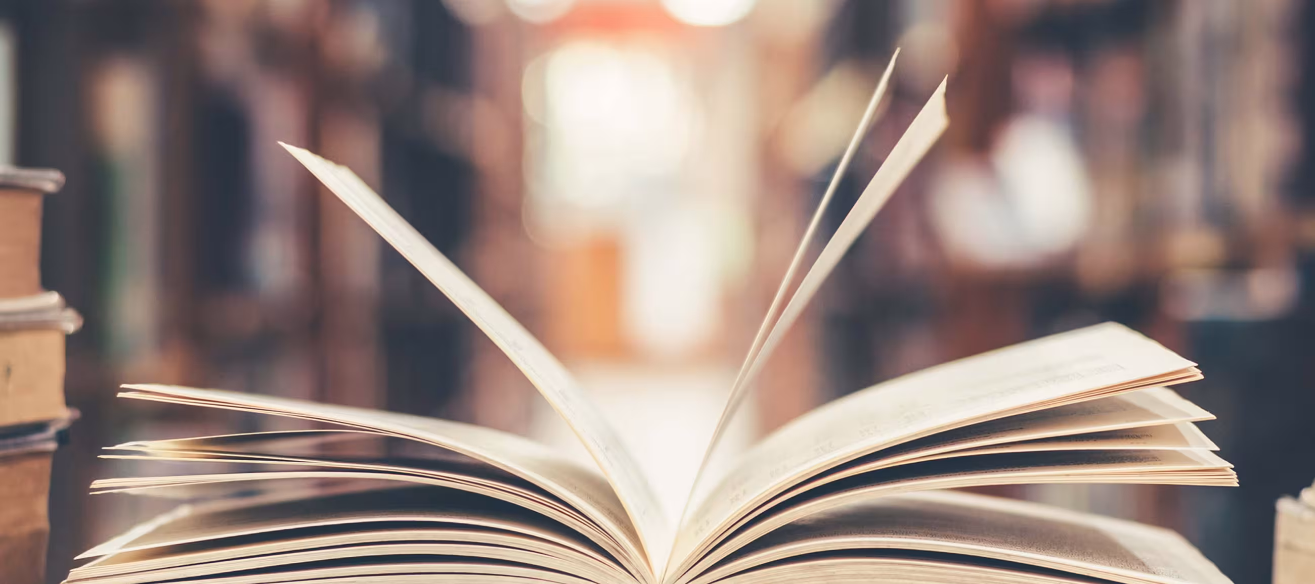 What is "subordination"?