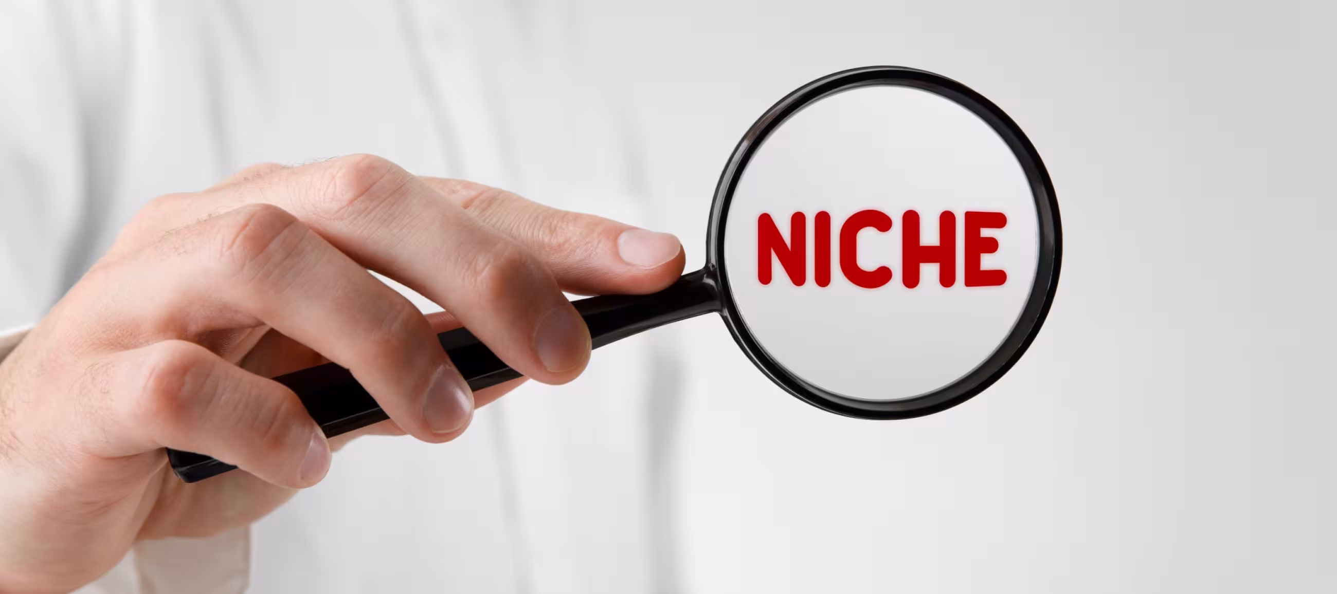 October 2016 - Our Niche Product