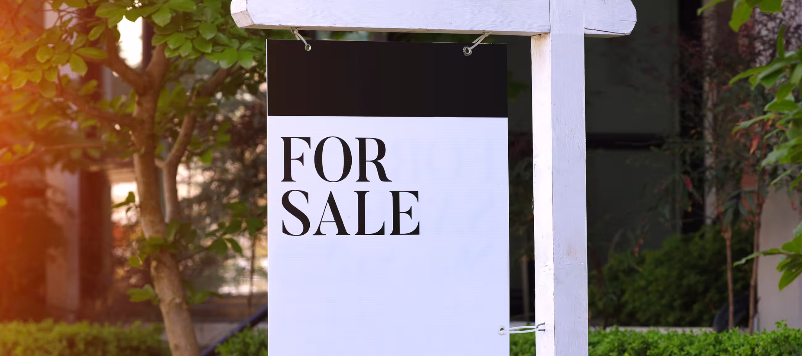 September 2021 - Hold off on the Marketing!