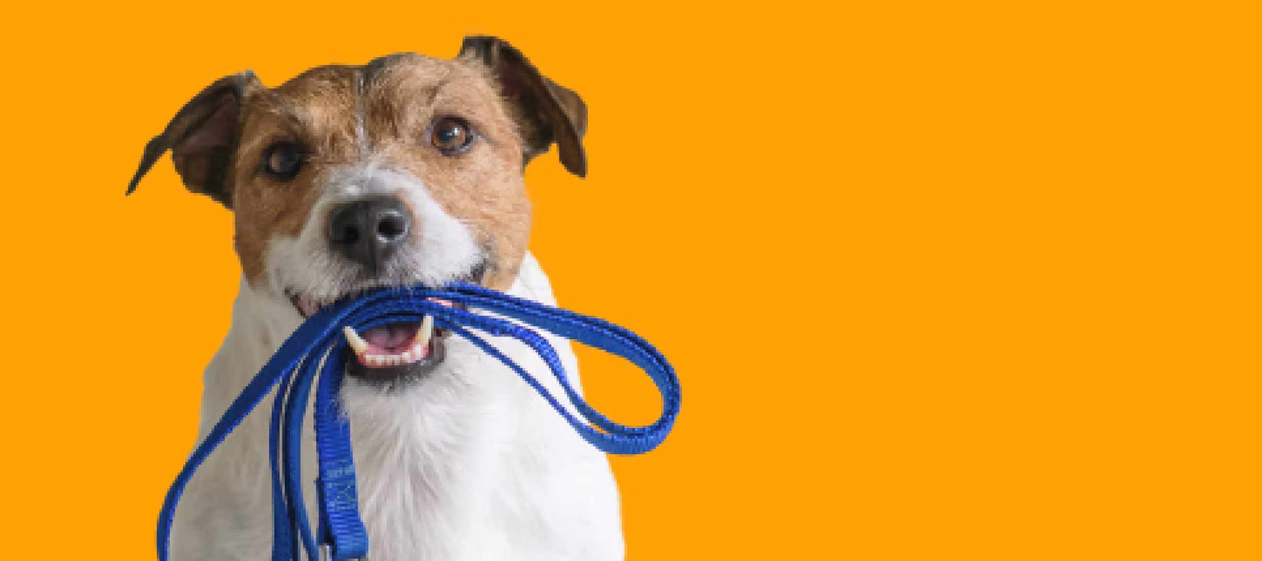 August 2023 - It's go time!