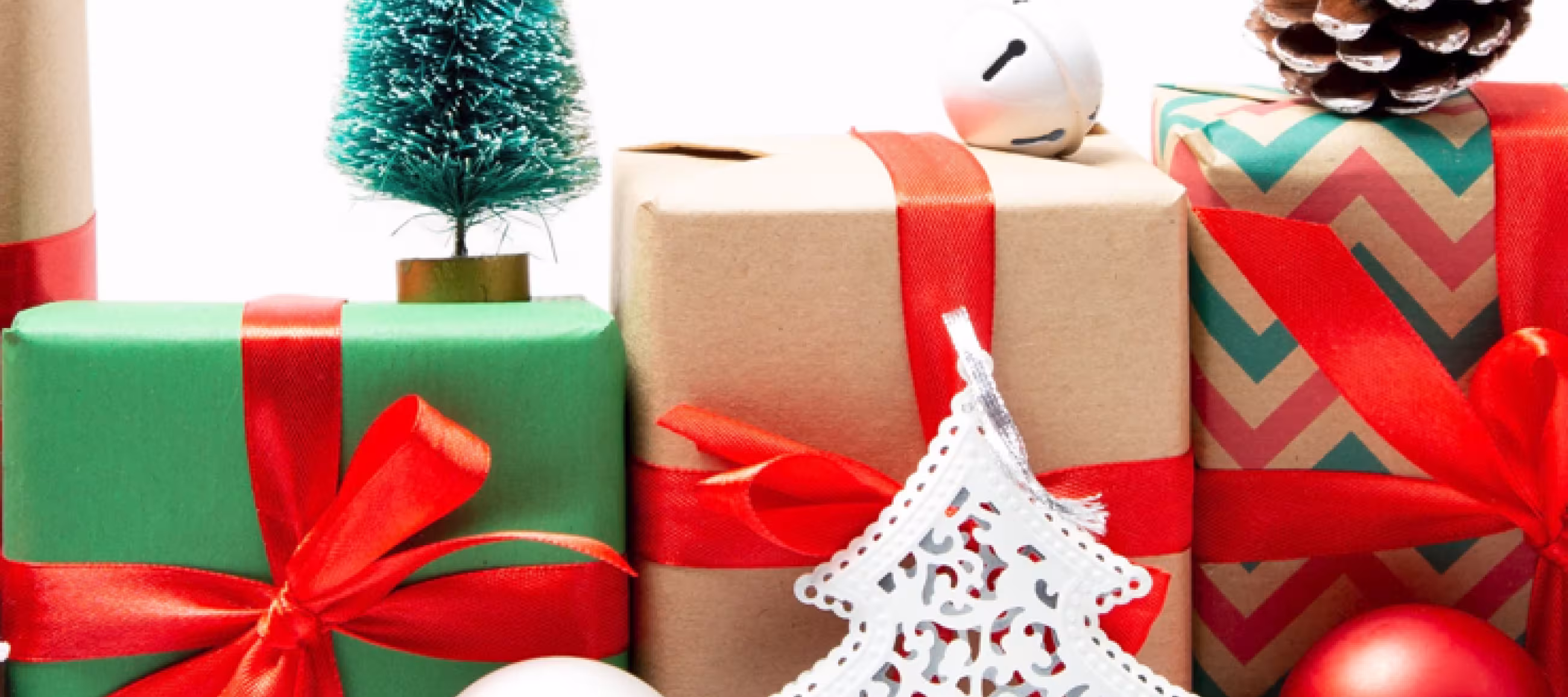 December 2022 - The year that was