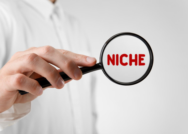 October 2016 - Our Niche Product