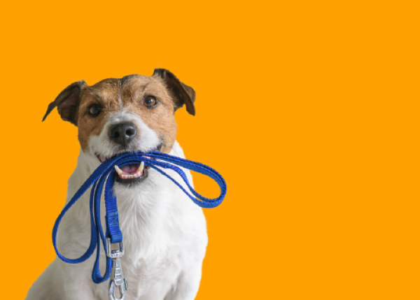 August 2023 - It's go time!